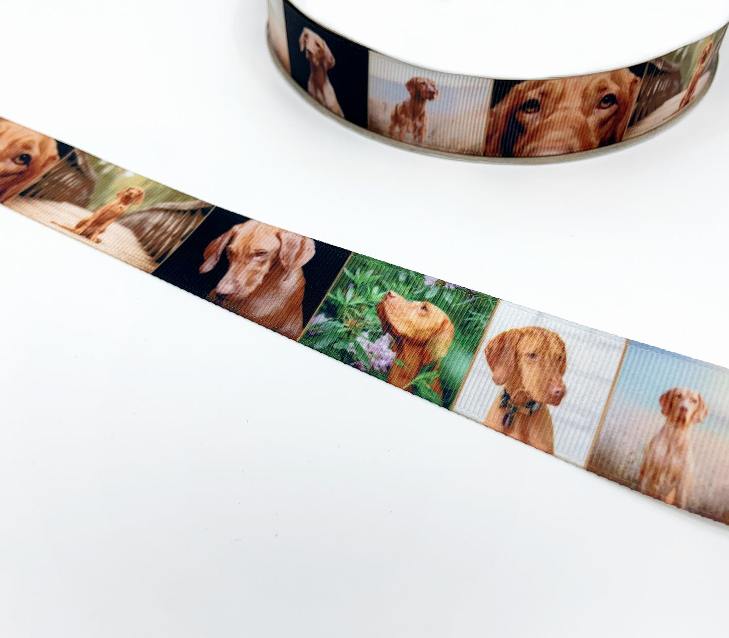 Printed Hungarian Vizsla dog, Pointer dog, hunting dog grosgrain, ribbon by the yard - Bloom And Anchor