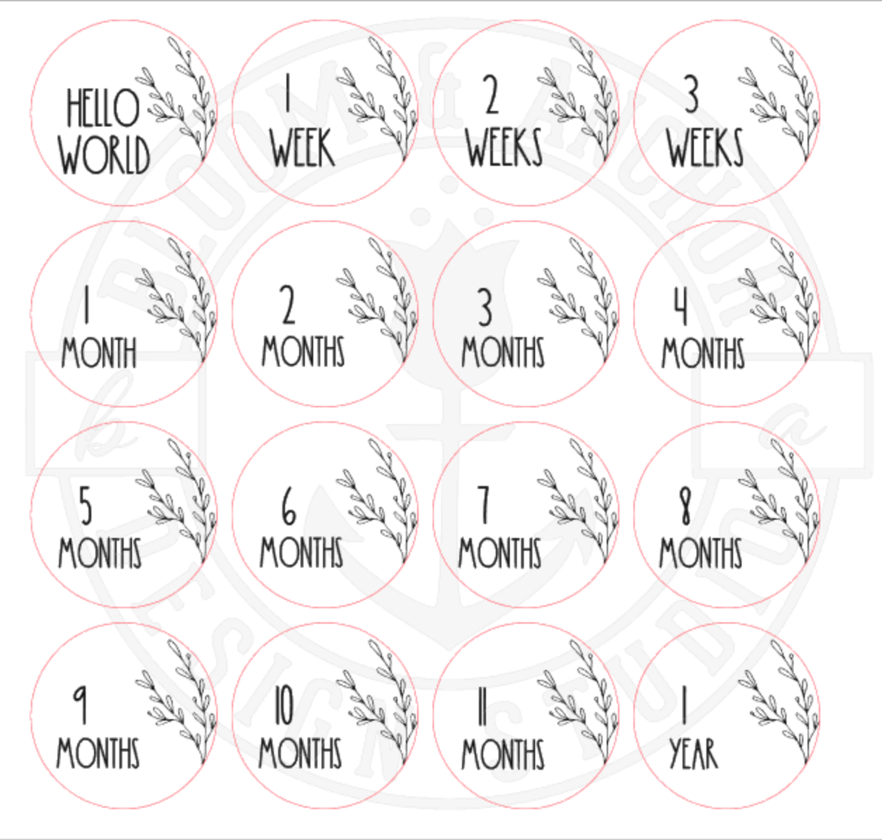 Beautiful floral Baby Milestone cards, round monthly milestone marker, baby photo prop